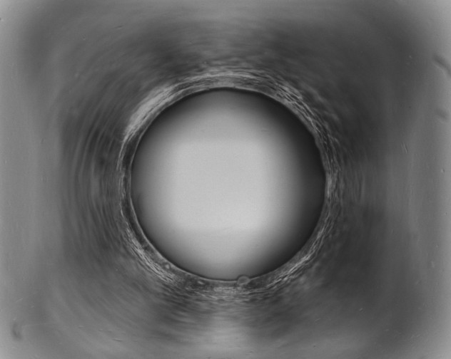 X0000101690101200807101217
