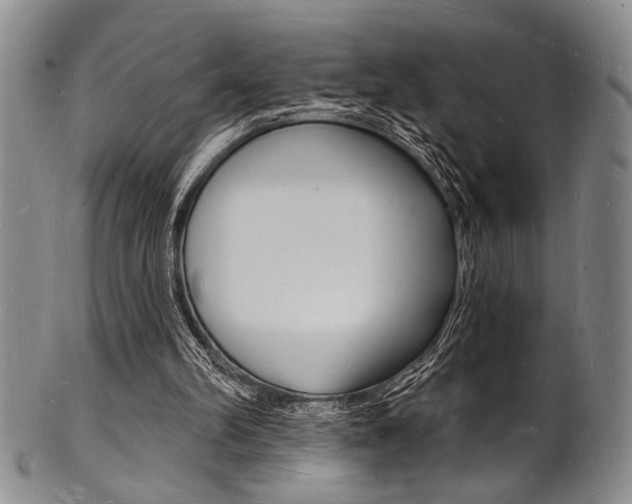 X0000101690102200807101217