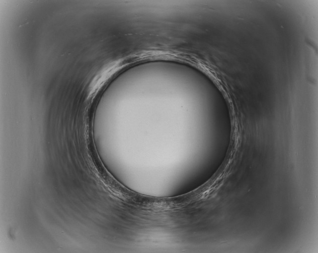 X0000101690103200807101217