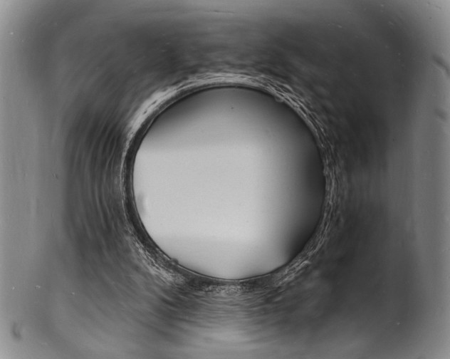 X0000101690104200807101217