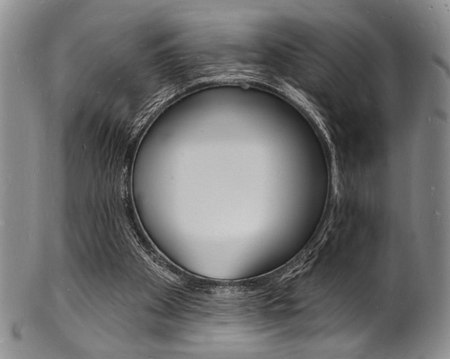 X0000101690105200807101217