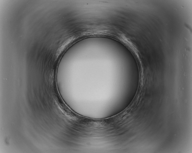 X0000101690107200807101217