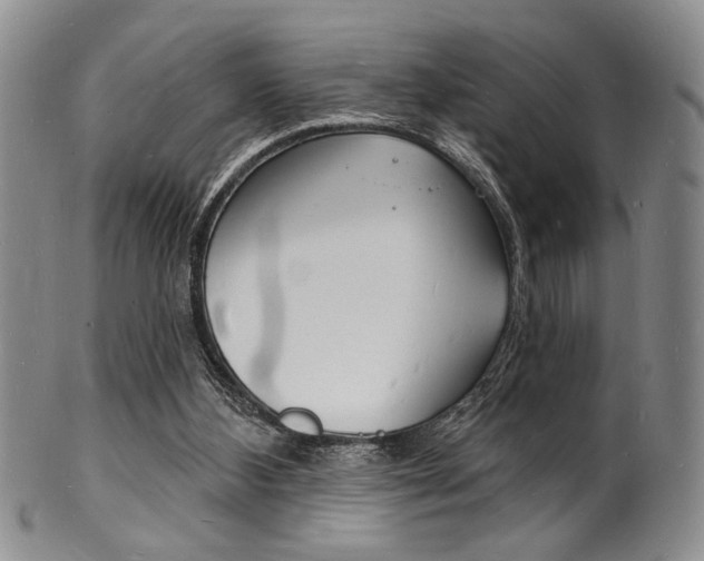 X0000101690108200807101217