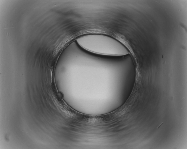 X0000101690109200807101217