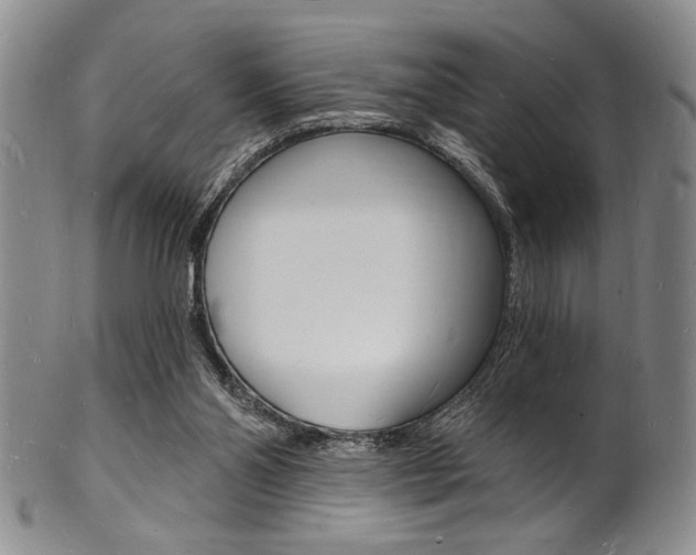 X0000101690110200807101217
