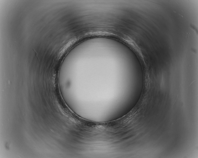 X0000101690111200807101217