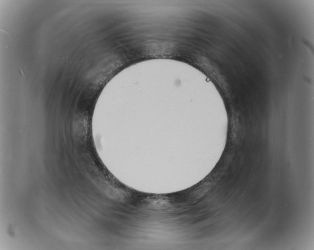 X0000101690113200807101217