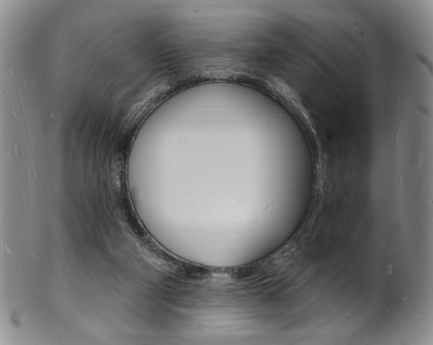 X0000101690114200807101217