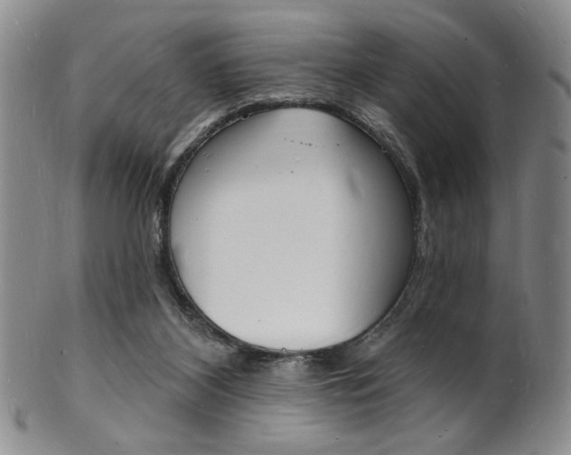X0000101690116200807101217