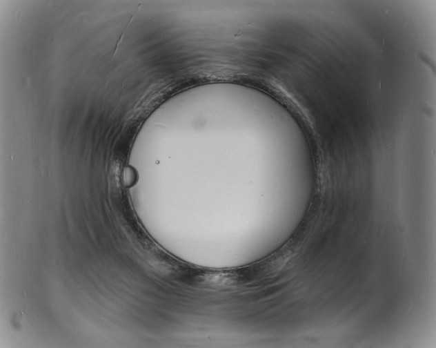X0000101690117200807101217