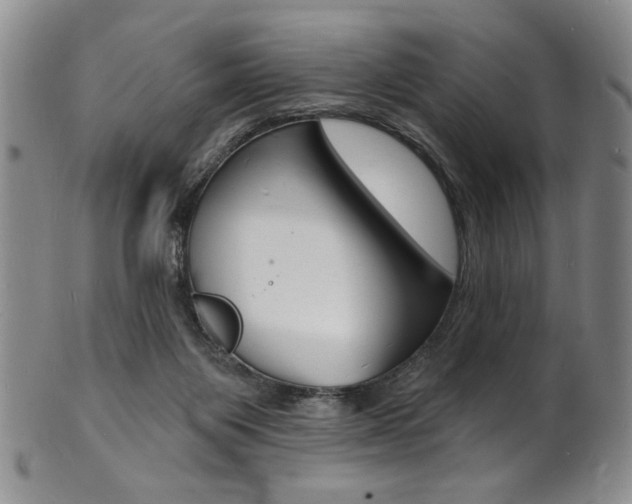 X0000101690119200807101217