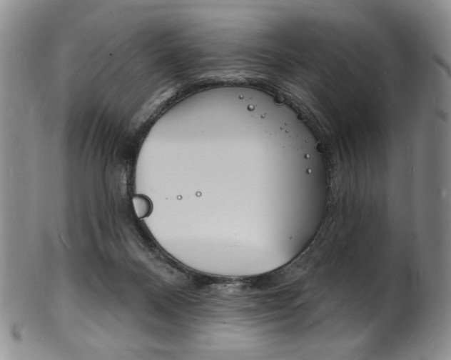X0000101690120200807101217