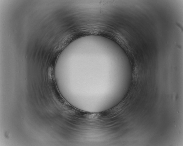 X0000101690122200807101217