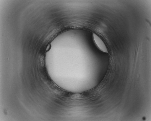 X0000101690123200807101217