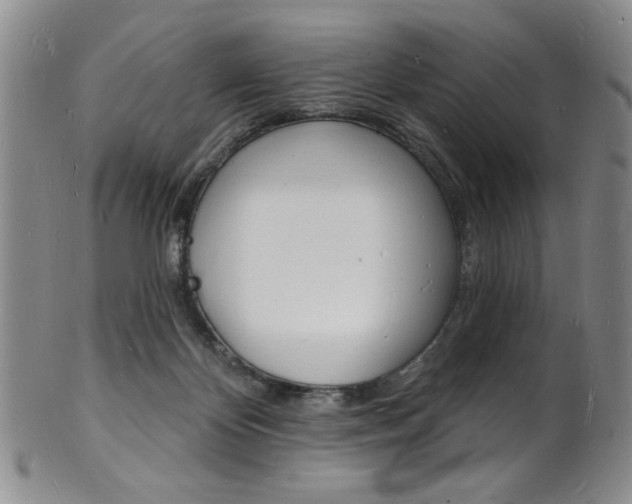 X0000101690124200807101217