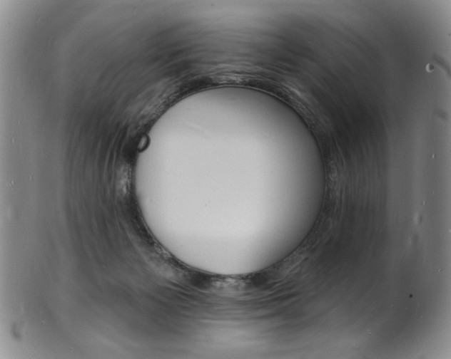 X0000101690125200807101217