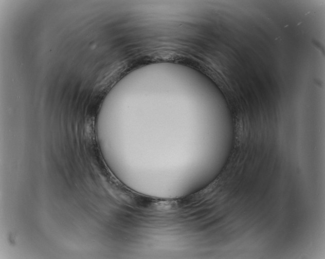 X0000101690126200807101217