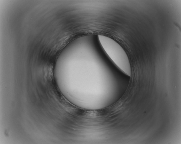 X0000101690127200807101217