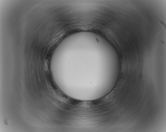 X0000101690128200807101217