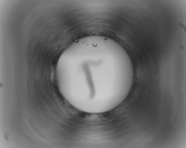 X0000101690129200807101217