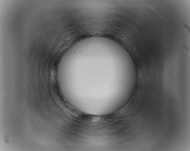 X0000101690130200807101217
