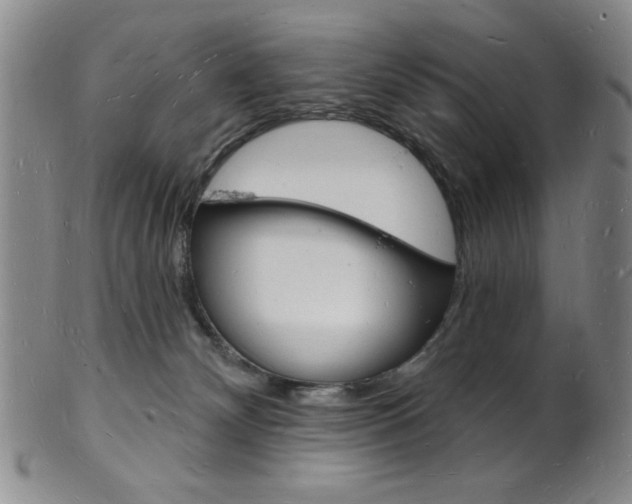 X0000101690132200807101217