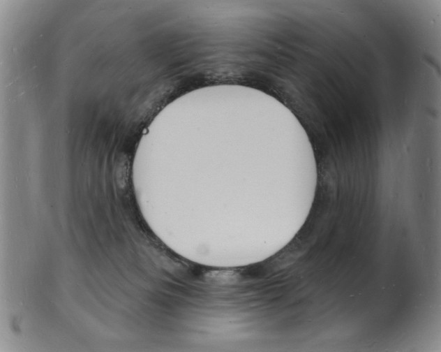 X0000101690133200807101217