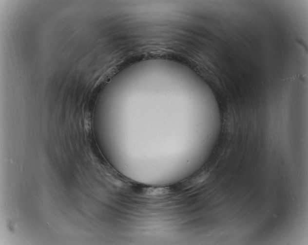 X0000101690135200807101217