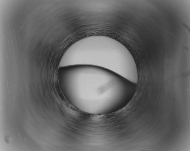 X0000101690136200807101217