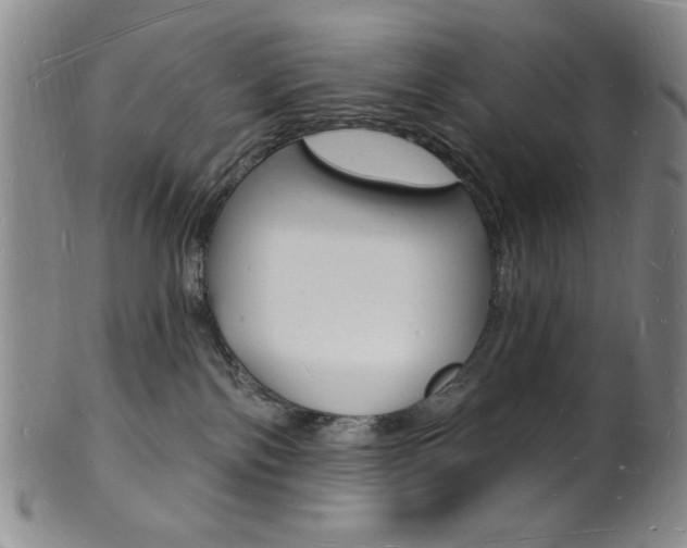 X0000101690138200807101217