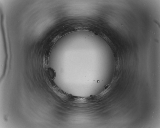 X0000101690140200807101217
