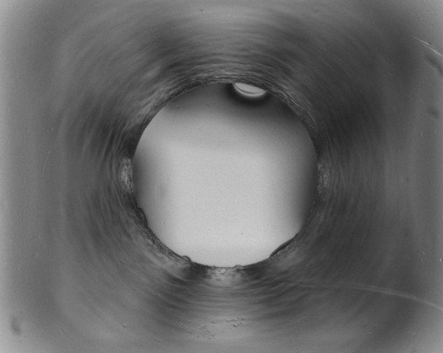 X0000101690141200807101217