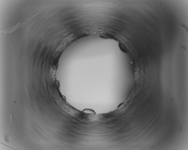 X0000101690142200807101217