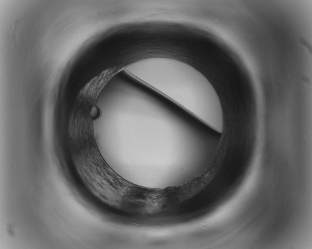 X0000101690143200807101217