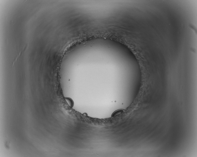 X0000101690144200807101217