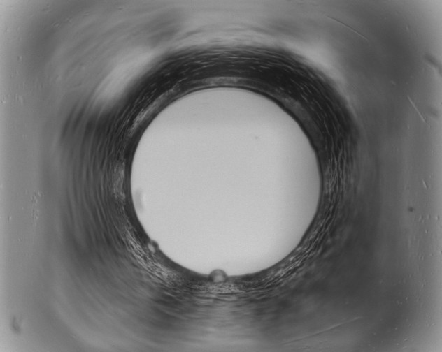 X0000101690146200807101216