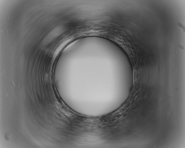 X0000101690147200807101216