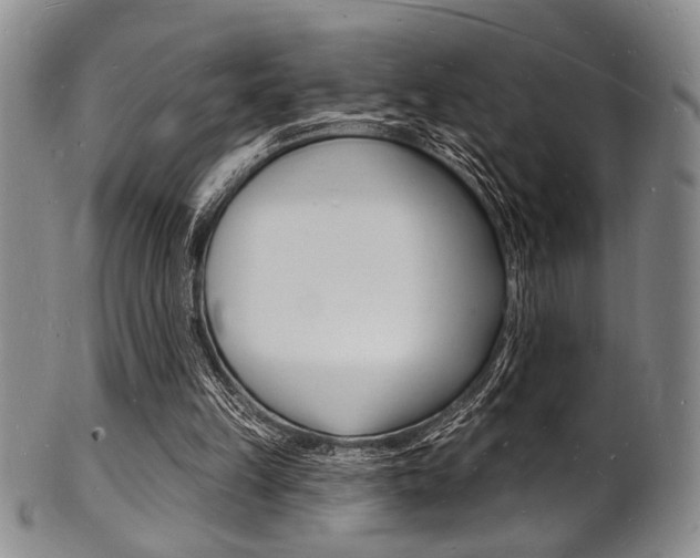 X0000101690149200807101216