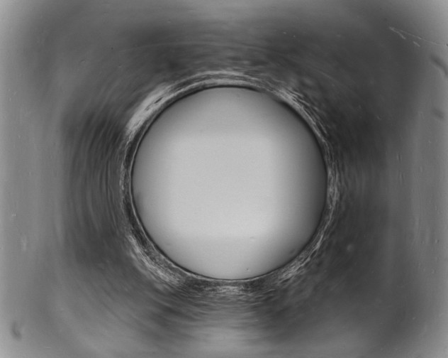 X0000101690151200807101216