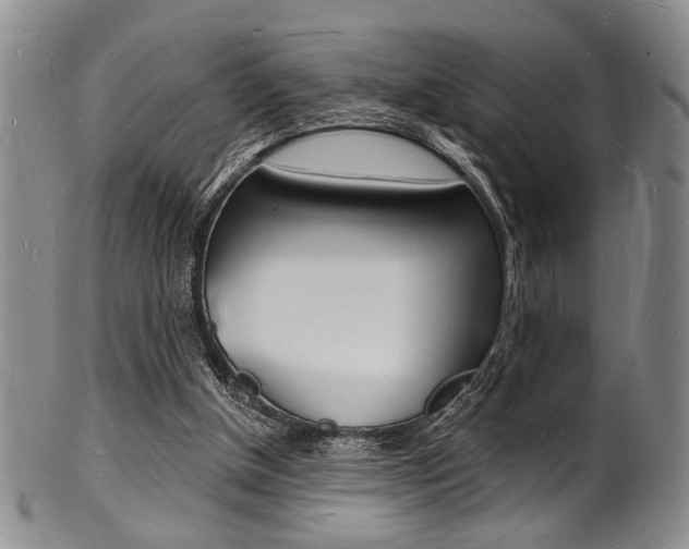X0000101690154200807101216