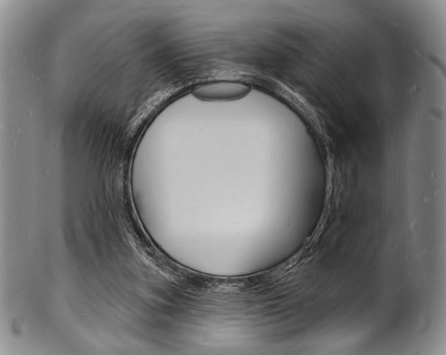 X0000101690155200807101216