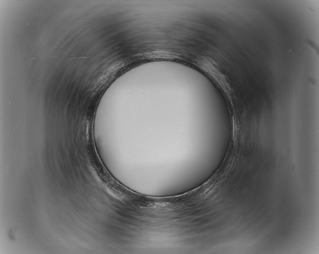 X0000101690157200807101216