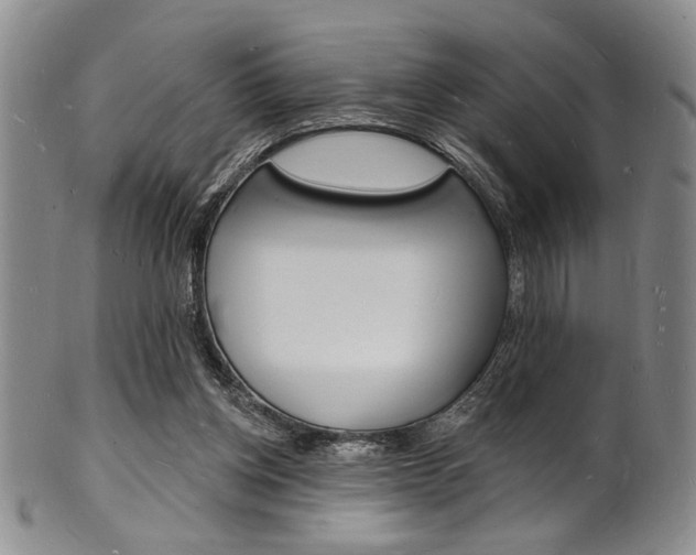 X0000101690158200807101216