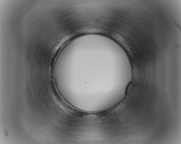 X0000101690159200807101216