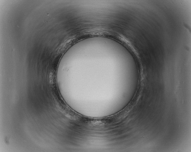 X0000101690161200807101216