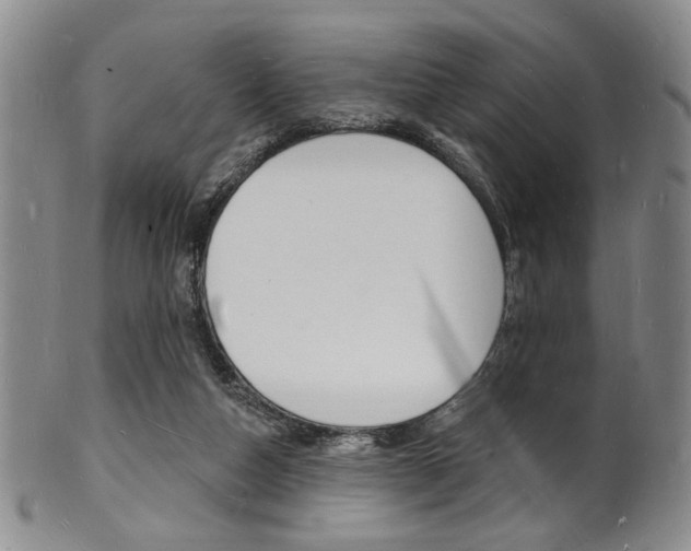 X0000101690162200807101216