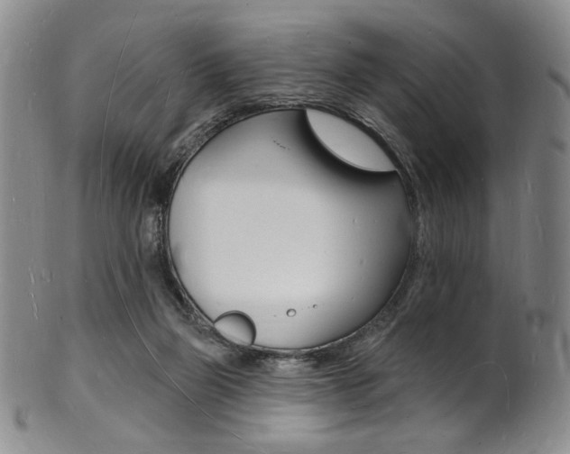 X0000101690165200807101216