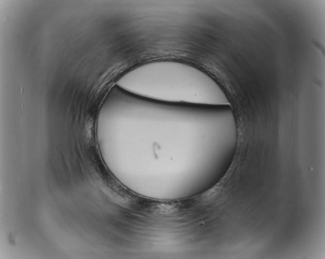 X0000101690166200807101216