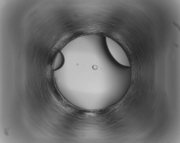 X0000101690167200807101216