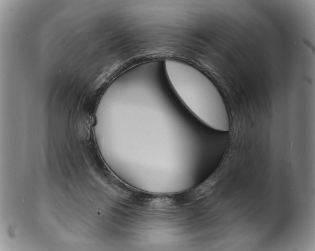 X0000101690168200807101216